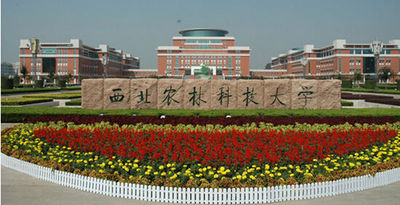 西北农林科技大学 